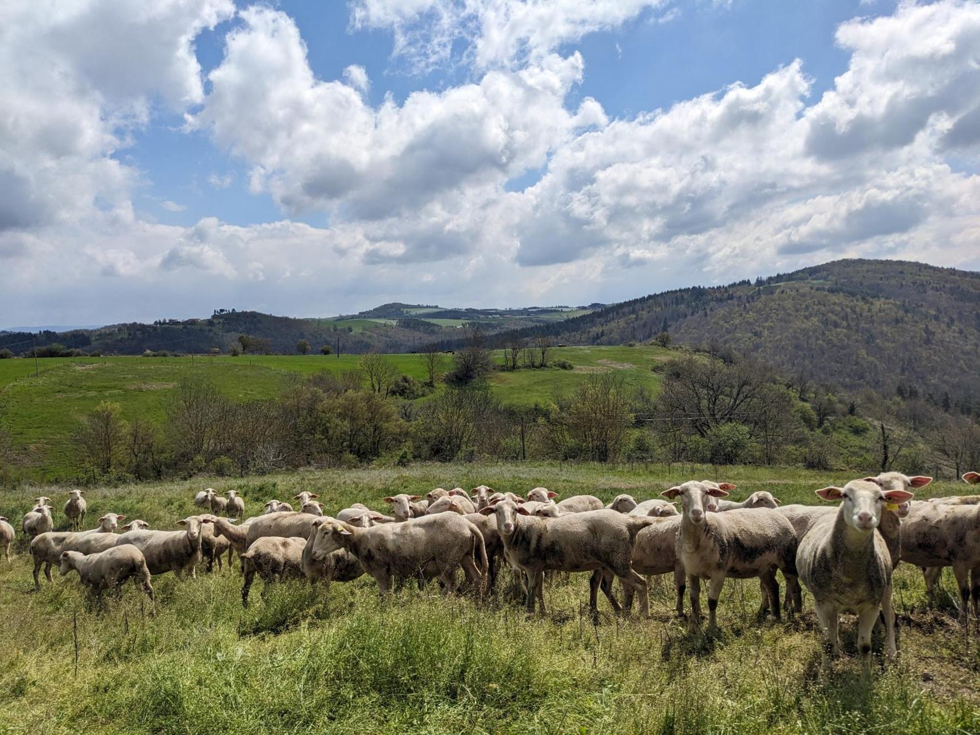 La Grange, Le Hameau Des Volcans - Deconnexion Face A La Vue Saint-Just-pres-Brioude Εξωτερικό φωτογραφία